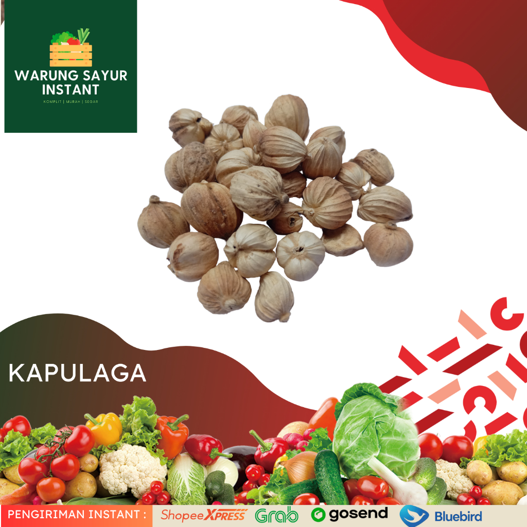 

Kapulaga 50gram | Warung sayur instant