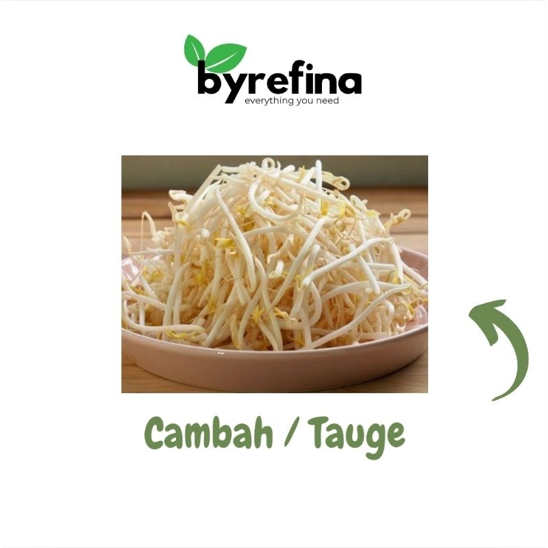 

Cambah Tauge Toge 250gr - 1kg