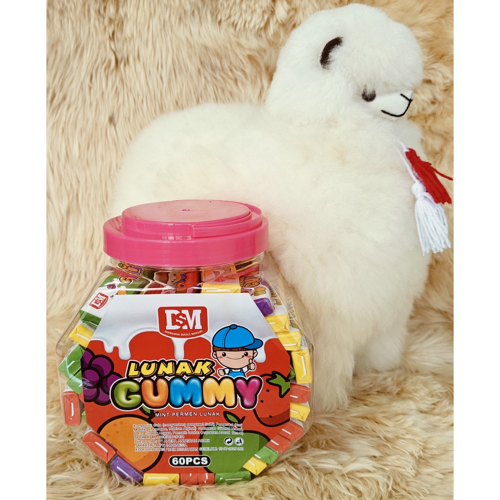 

DSM Lunak Gummy Buah Toples 60 pcs