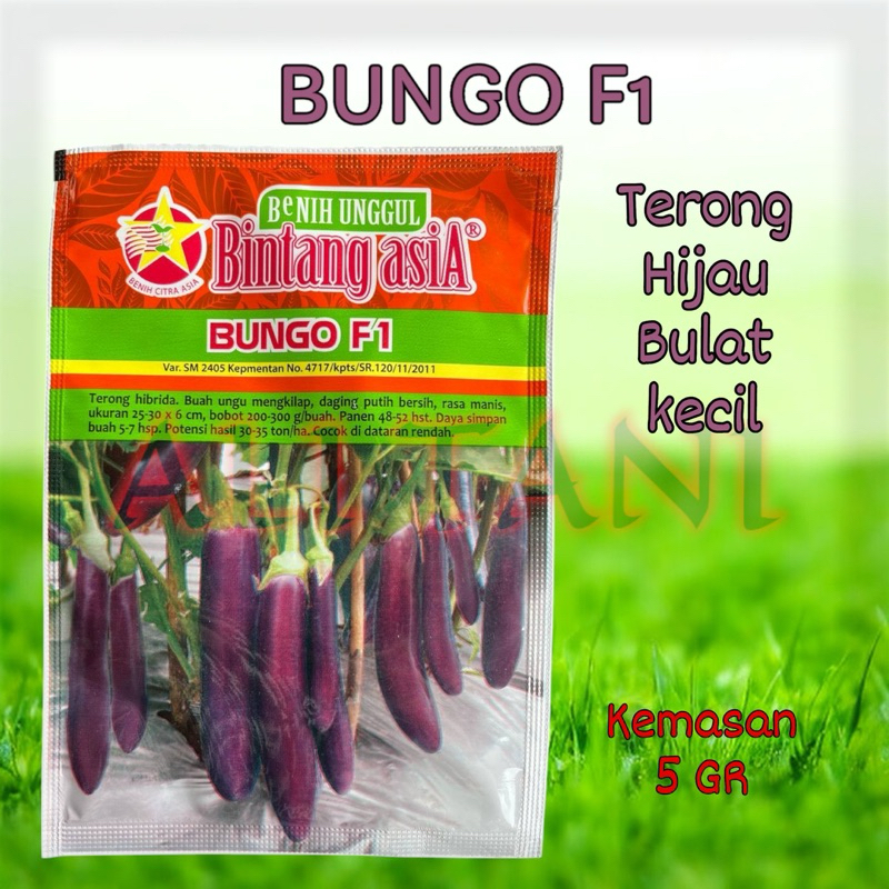 BUNGO F1 Kemasan 5 Gram Benih/Bibit Terung/Terong Ungu Panjang
