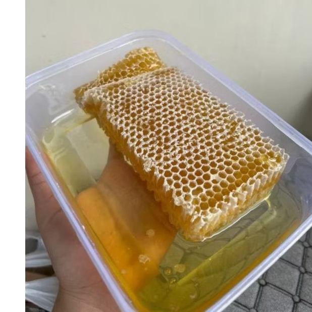 

SARANG MADU [500 GR]