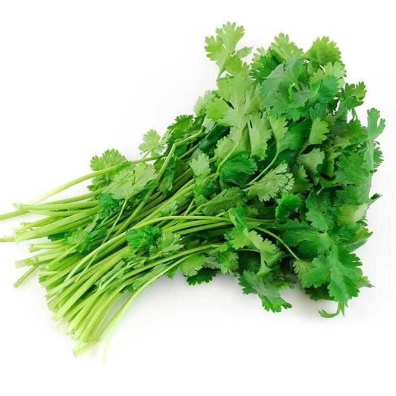 

SELEDRI AJA 50g/ DAUN BAWANG AJA 100g/ SELEDRI+ DAUN BAWANG 90g