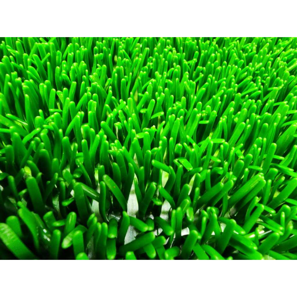 Karpet Rumput Saringan Tambang Emas uk 0.5X1 M Dreamturf Carpet