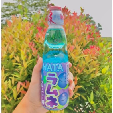 

Hata Ramune Blueberry 200ml / Minuman Import Jepang / Minuman Import