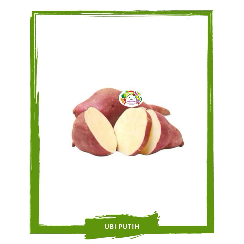 

Ubi Putih (Telo) / Sayur Segar By Sayur Mallah