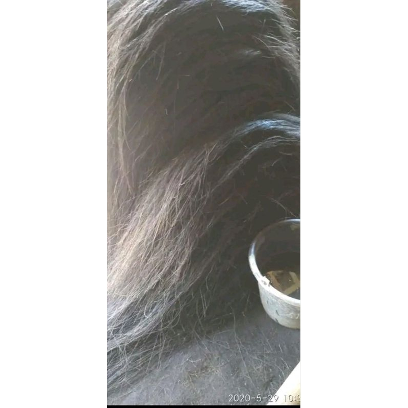 Ijuk sisiran 1kg harga ijuk super kwalitas terjamin 40.000 IJUK BUAT KESENIAN/IJUK AREN SUPER MIJAH 