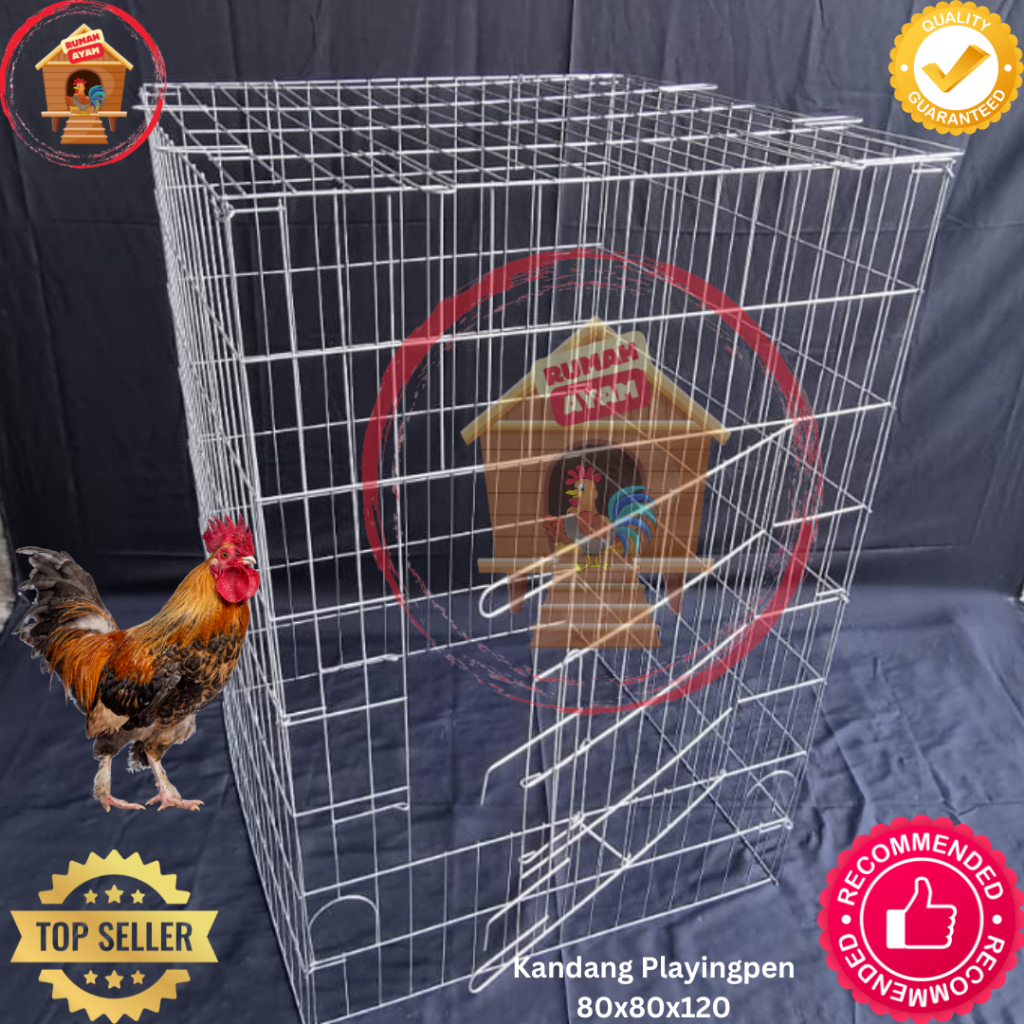 Kandang Ayam Lipat Galvanis Tahan Karat Model Playpen 80x80x120 cm