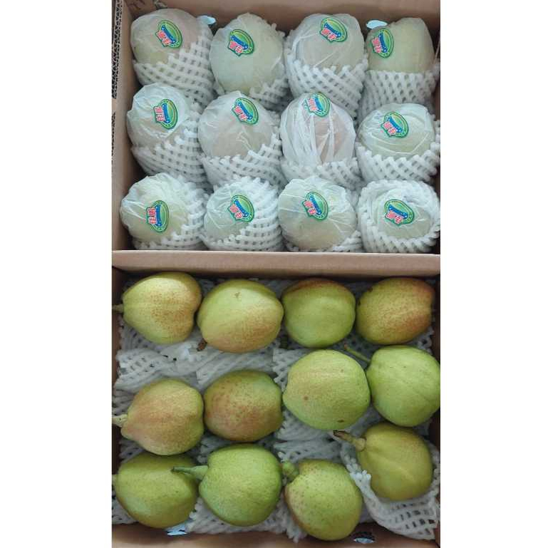

Pear Xiang Lie Per karton