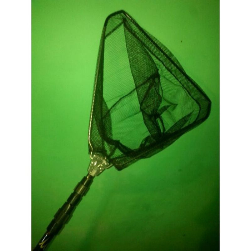 SEROK IKAN LIPAT MURAH