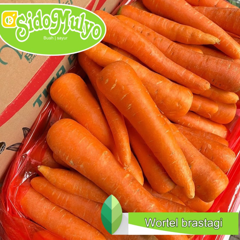 

Wortel Berastagi fresh 1 kg | ud sidomulyo fresh