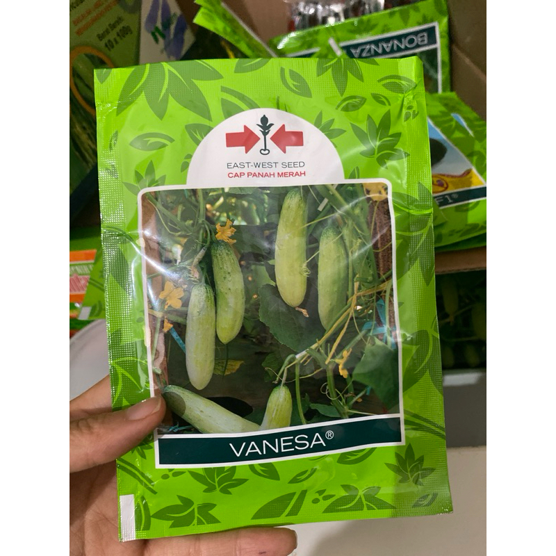 Benih Timun lalap - bibit mentimun hijau Vanesa panah merah 20 gram