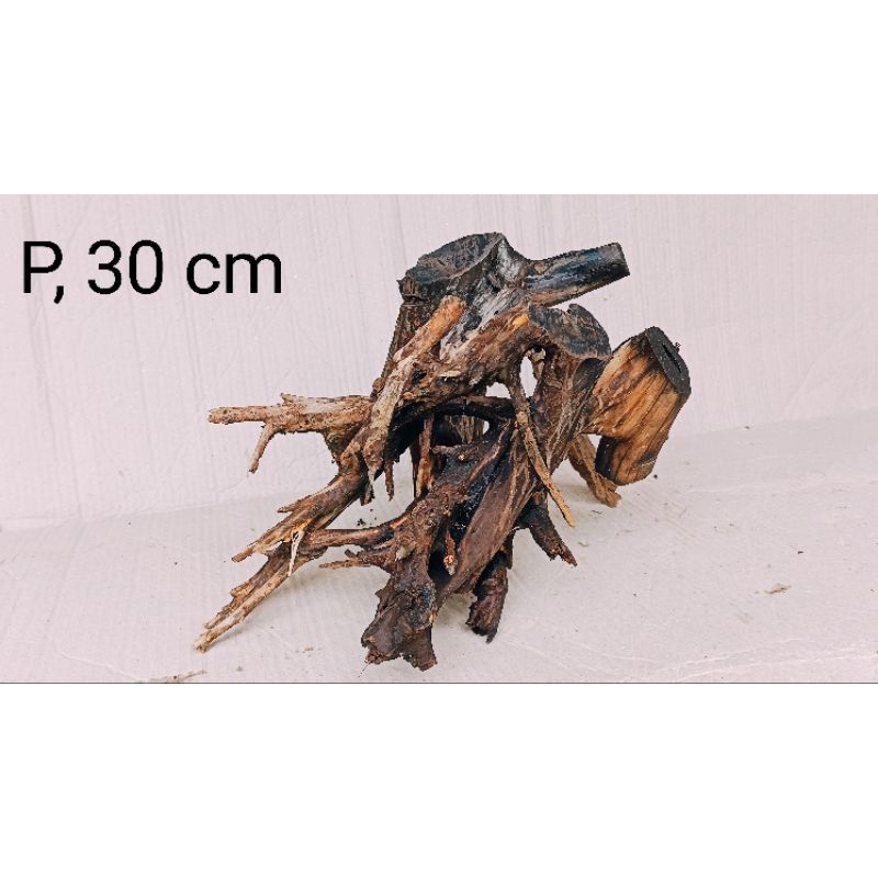 kayu rentek aquascape bonggol ranting