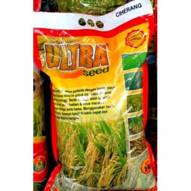 Benih Padi Ciherang 5kg