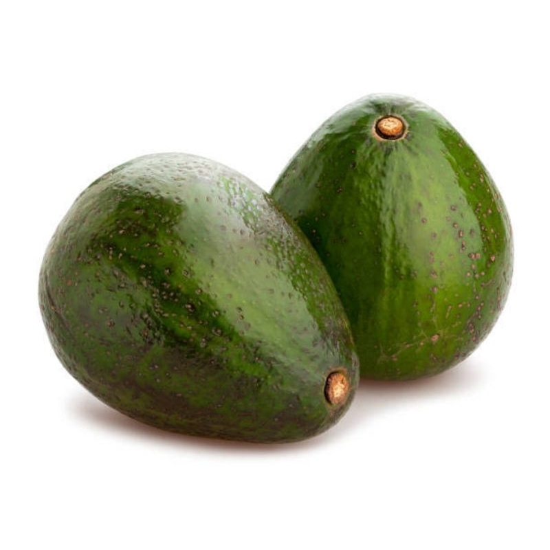 bibit alpukat avozilla stek berkualitas