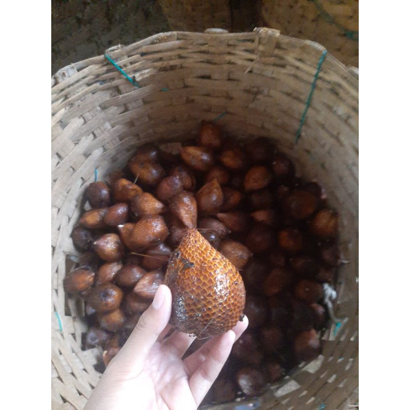 

Salak pondoh asli banjar 1kg