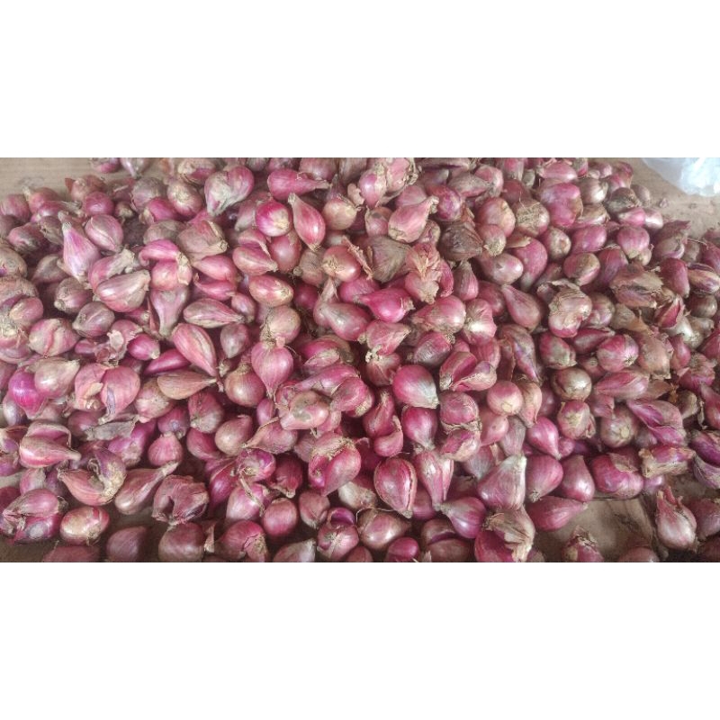 

bawang merah 500gram