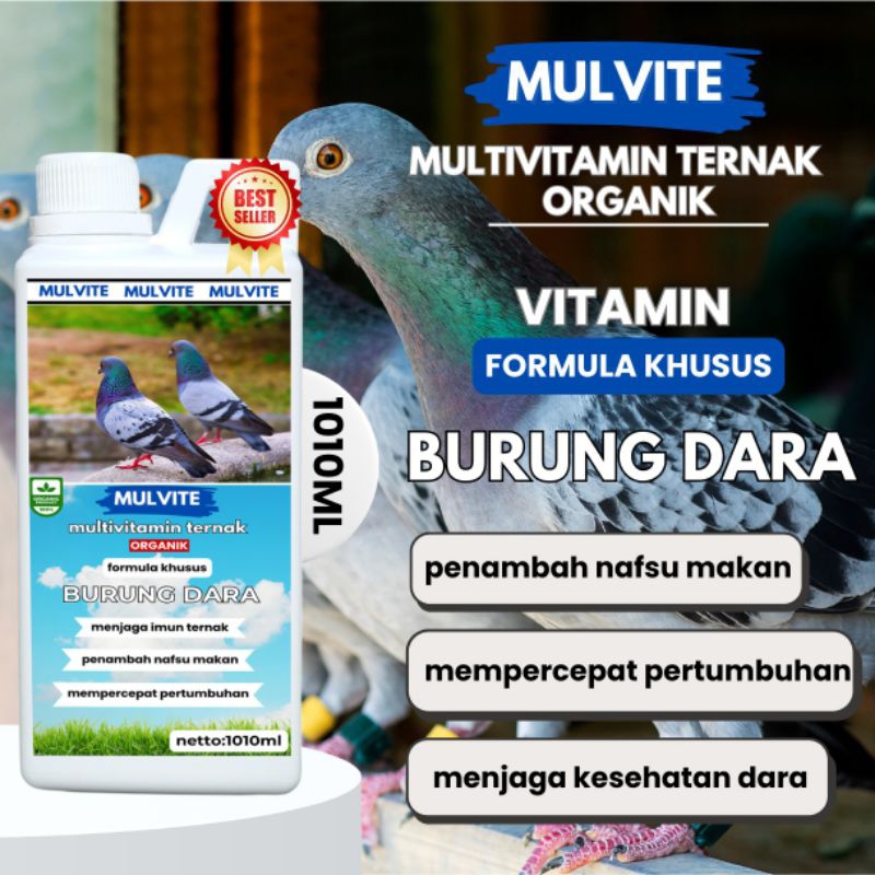 MULVITE Vitamin Burung merpati Agar Cepat Bertelur Obat Betina Anti Macet Nelur Untuk Ternak Breedin