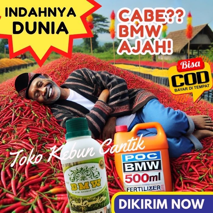 PUPUK MURAH ORGANIK POC BMW 500 ML UNTUK CABE RAWIT LEBAT DAN MELIMPAH, MENYUBURKAN DAUN & BUAH, PEM