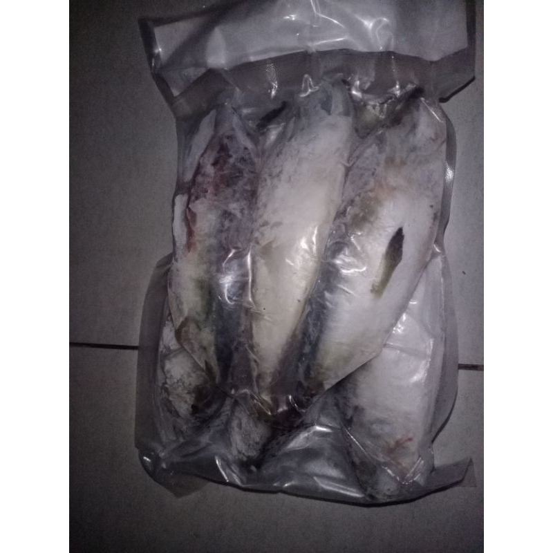 

Ikan kembung banjar