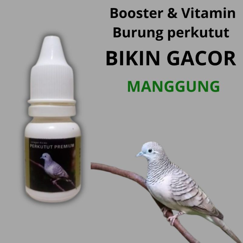 Vitamin Burung Perkutut Premium Gacor Manggung Bantu Atasi Suara Macet
