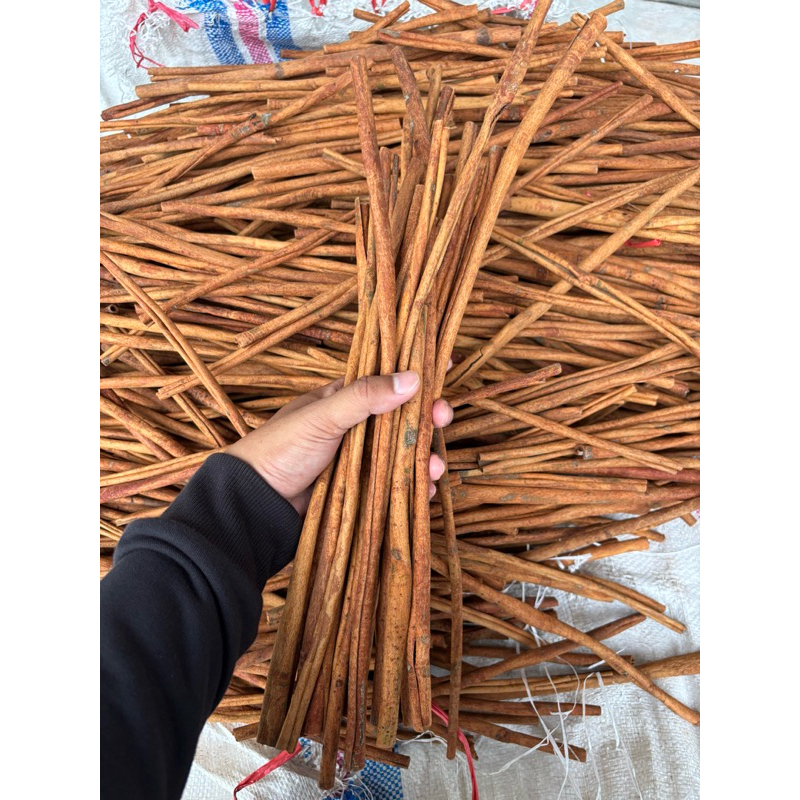 

kayu Manis Kering +- 40 cm stik, Batang