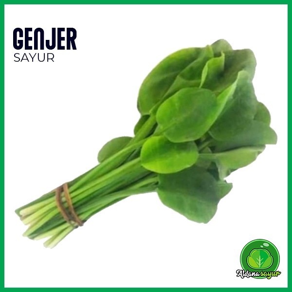 

Genjer aldana sayur garut 1 ikat