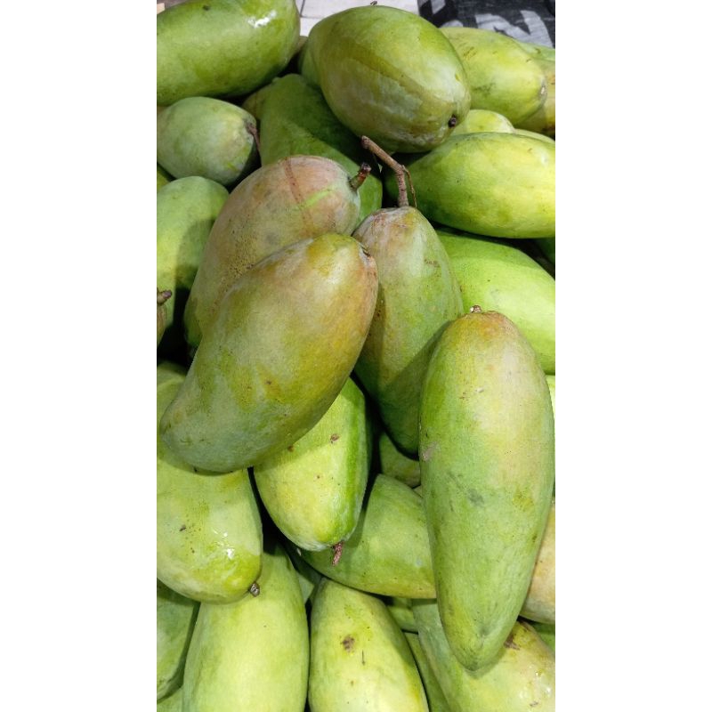 

MANGGA KIOJAY MATANG DAN MENGKAL 1KG