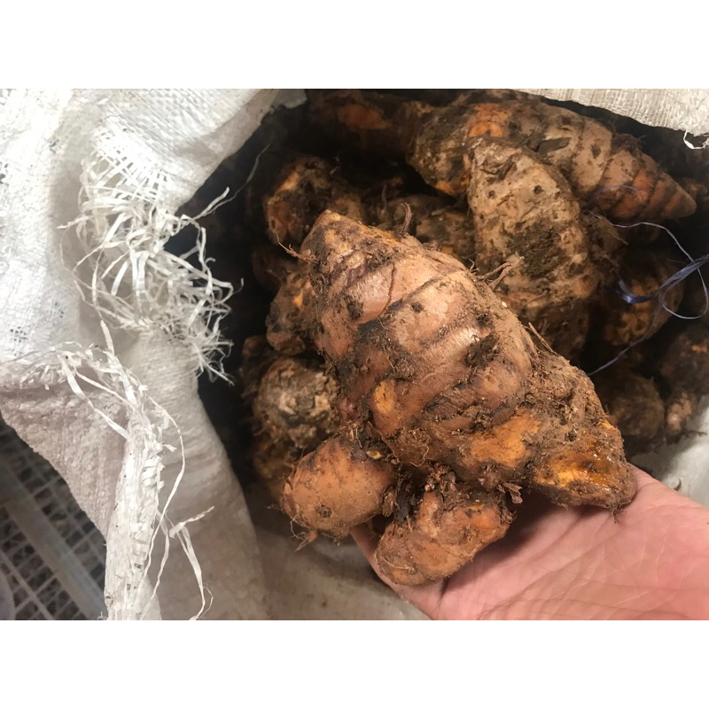 

temulawak 1kg