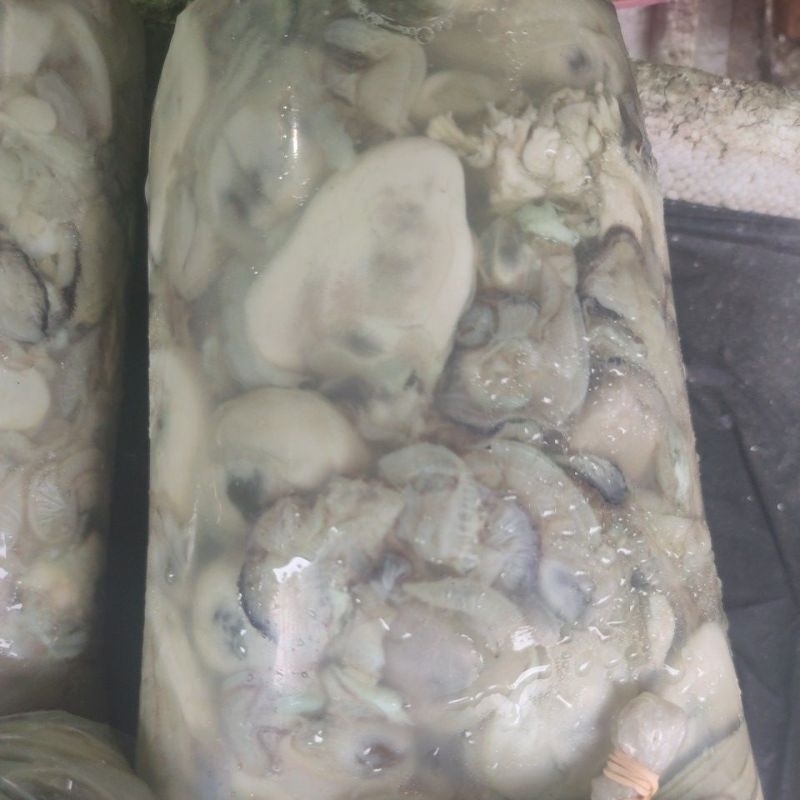 

KERANG TIRAM 1KG FREEZZ