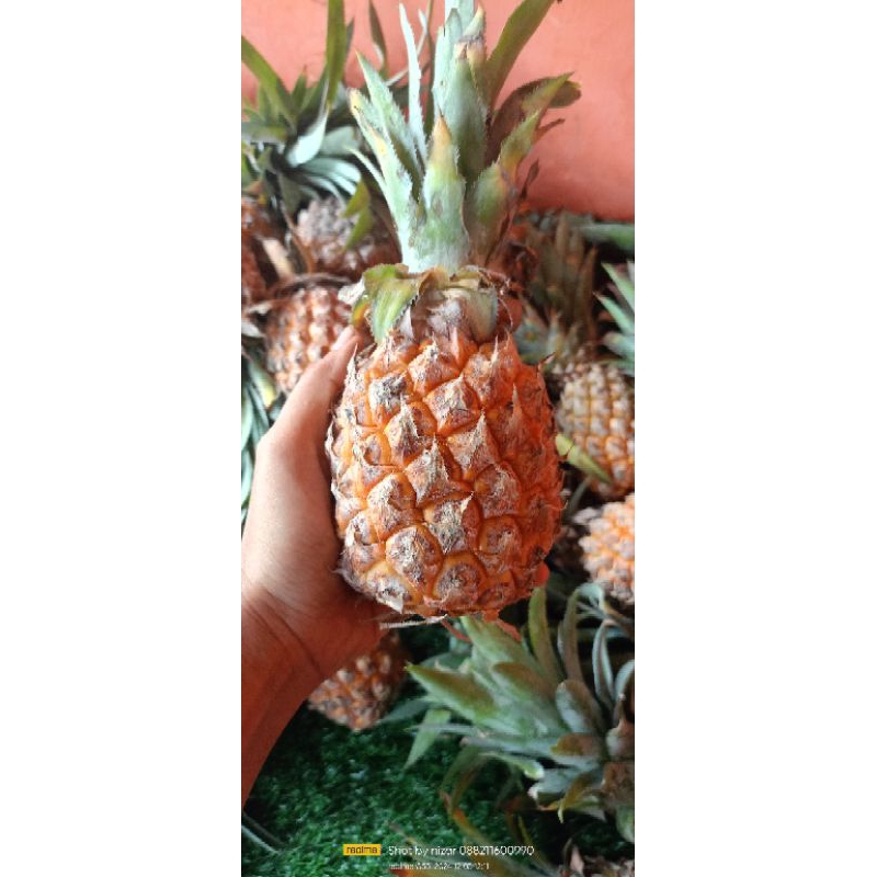 

nanas palembang