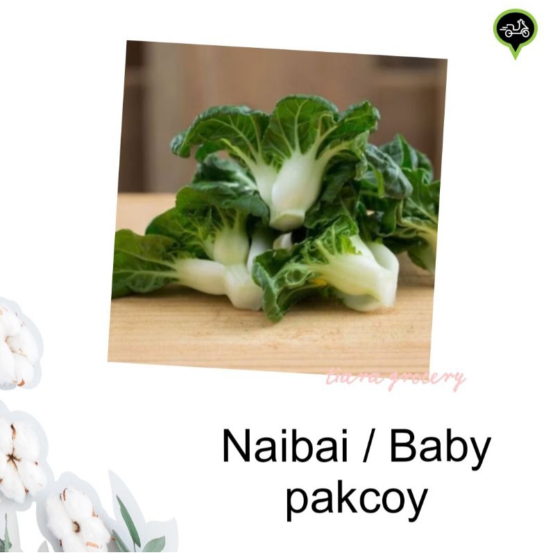 

Naibai / baby pakcoy