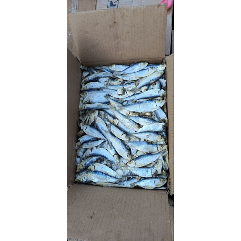 

Ikan Asin Rebus Tbr 1kg