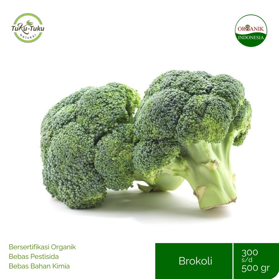 

BROCCOLI ORGANIK BSP FARM 300-500GR