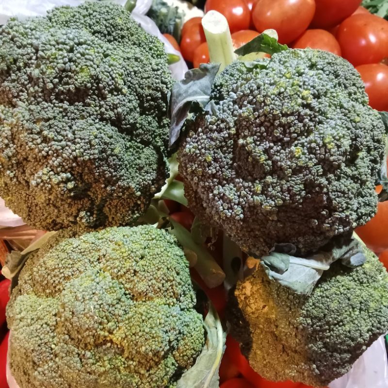 

Brokoli hijau segar 20-36