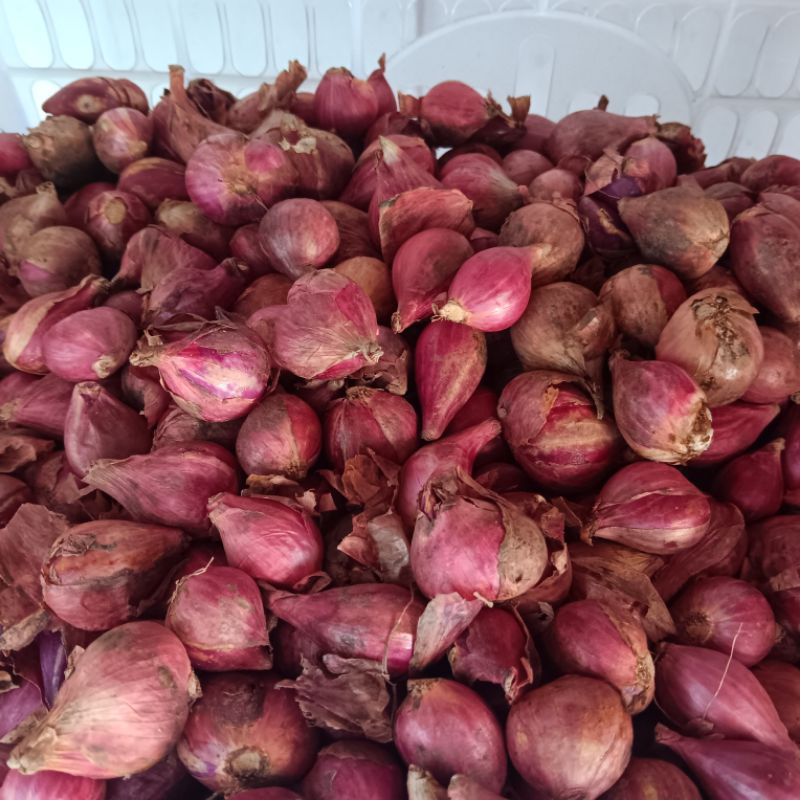 

Bawang Merah Premium