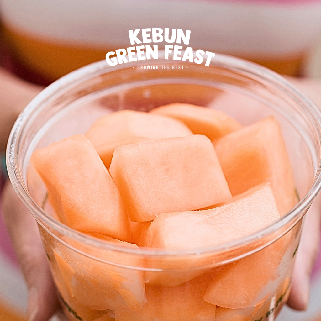 Melon Potong - sweet Hami Qillin - Melon Hidroponik