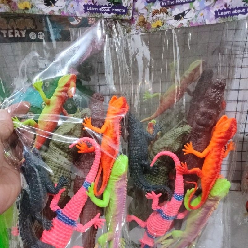 Reptil Besar/Hewan Reptil/Binatang Reptil