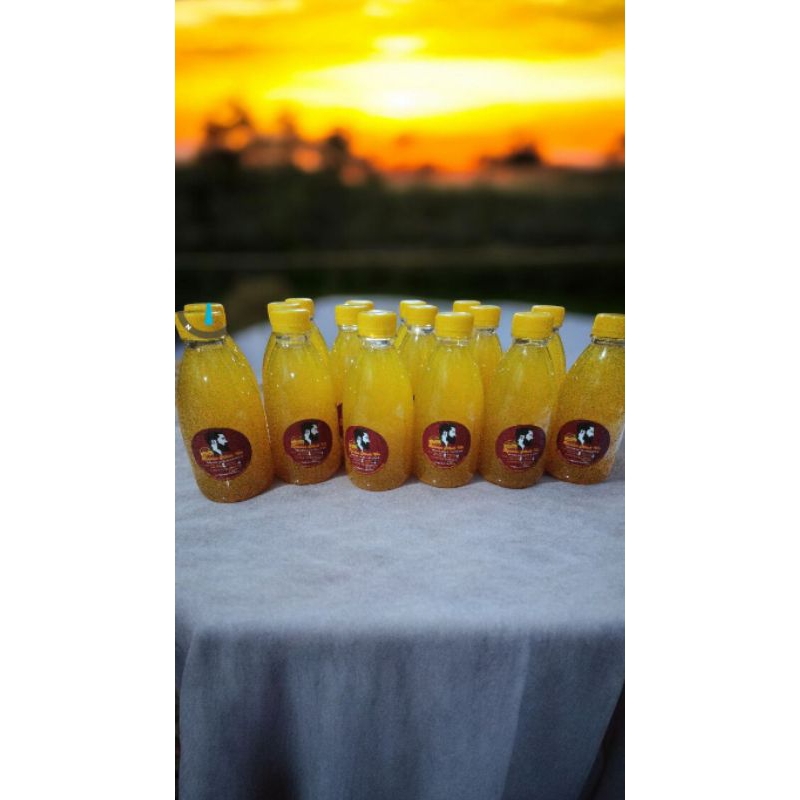 

minuman botanical temu lawak 6 botol