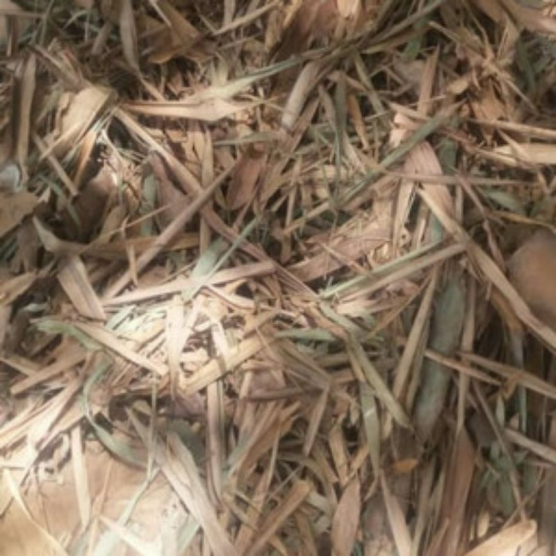 

Daun Bambu Kering
