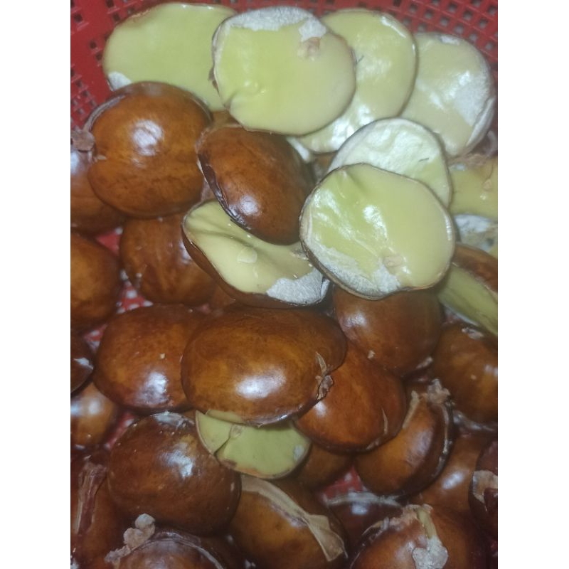 

JENGKOL MULUS TANPA KROPOS ‼️100 gram