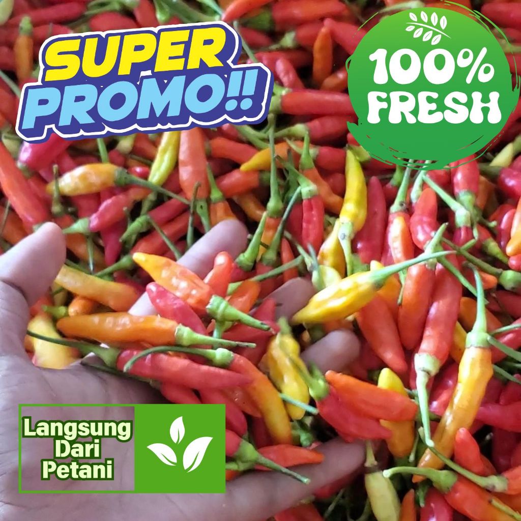 

Cabai kecil ORI kemasan 1kg fresh langsung dari petani