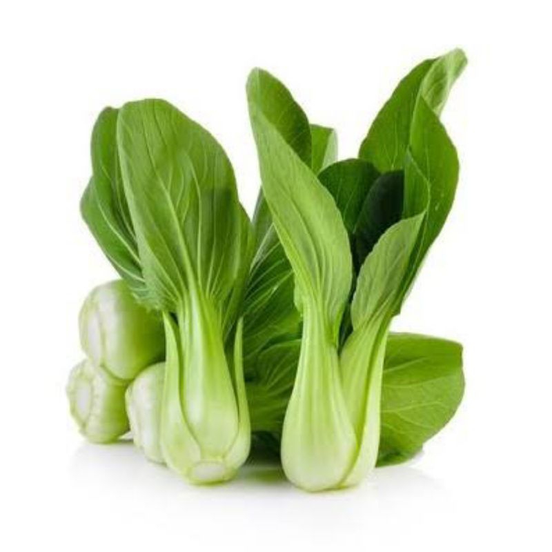 

Pakcoy / Sawi Daging Segar / Sawi Sendok / Bok Choy