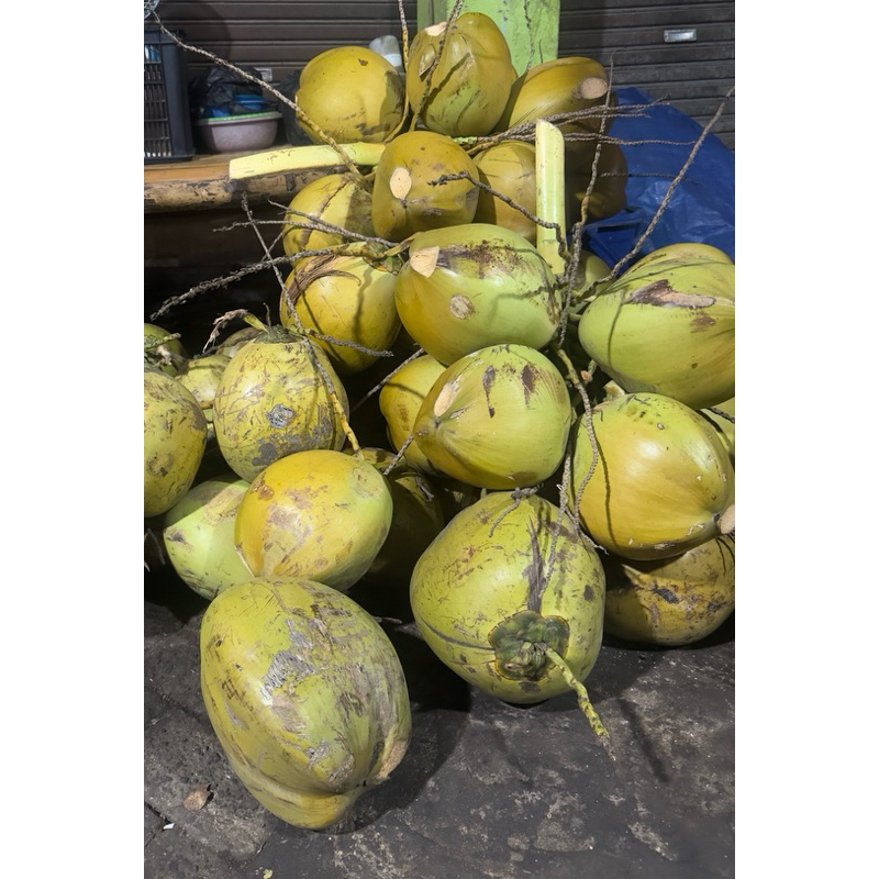 

Kelapa hijau / Degan ijo