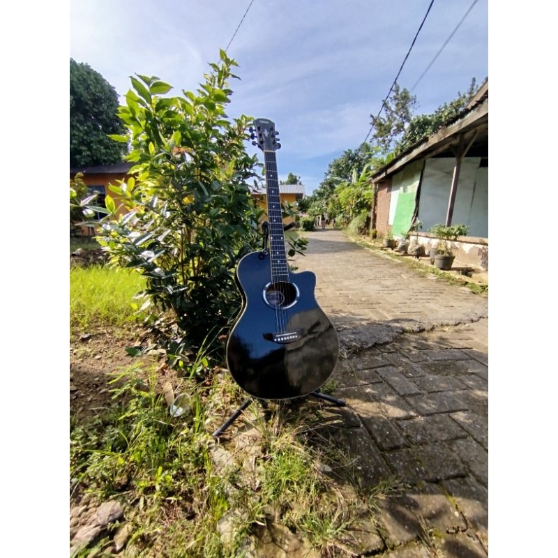 gitar apx500ii