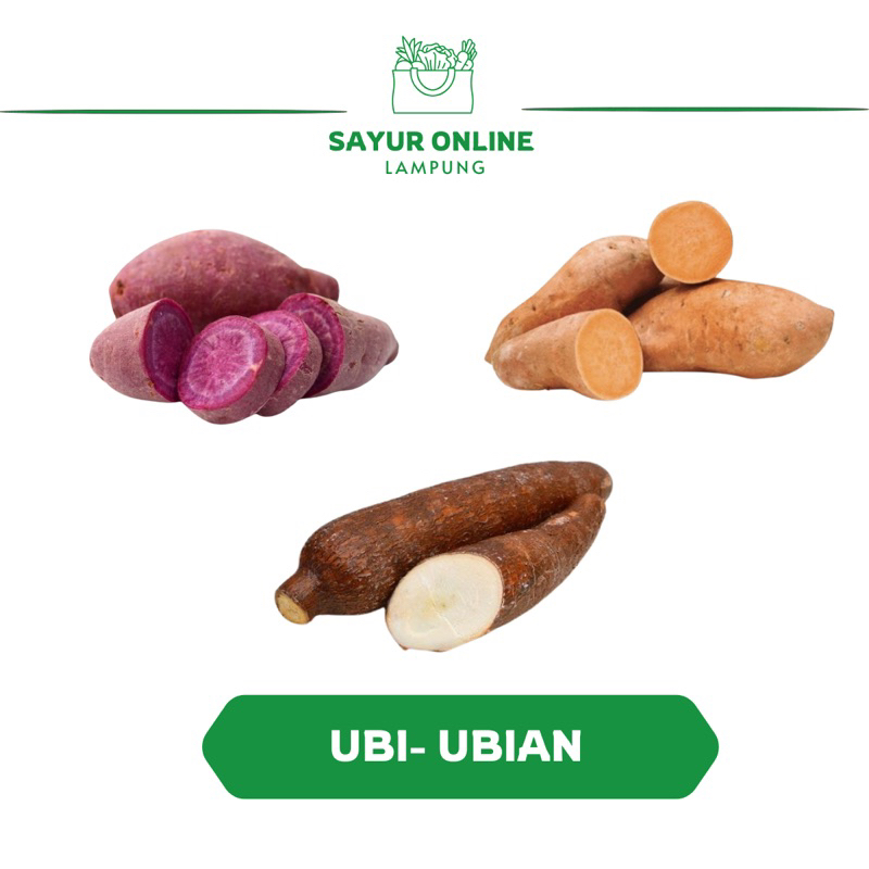 

Ubi-Ubian /Ubi kayu/ Mantang - Sayur Online Lampung