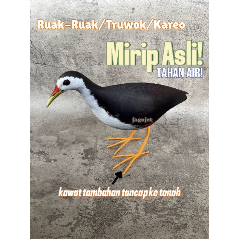 Jebakan Patung Jerat Ruak Ruak kareo sawah