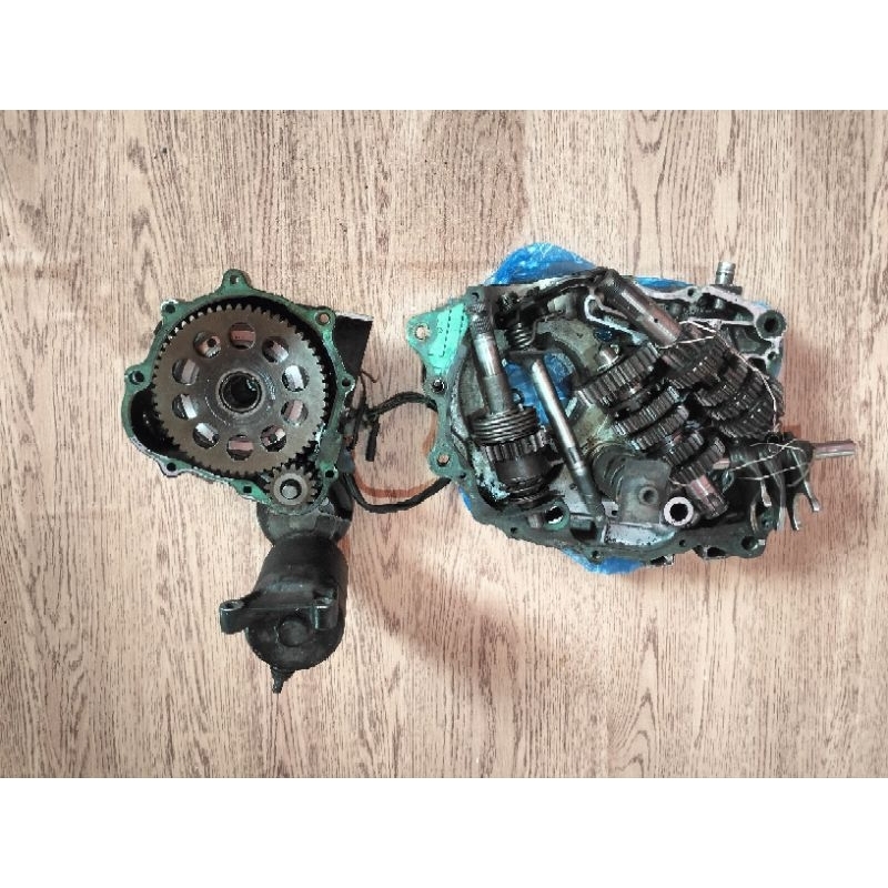 dobel stater Tiger revo