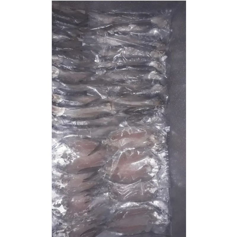 

Bandeng Fresh Tanpa Duri