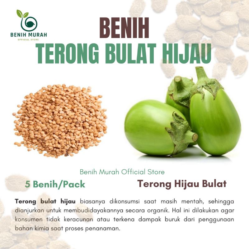 

TERONG HIJAU BULAT