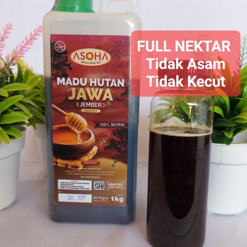 

ASOHA Madu Hutan Liar Jawa Timur 1kg | NO TIPU-TIPU | Madu Asli | Madu Murni | Raw Honey | Madu Asam Lambung